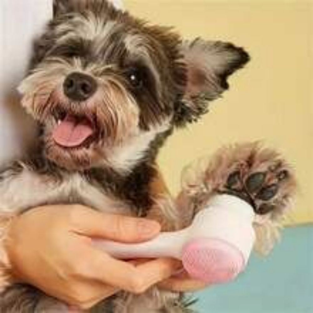 Pet Paw Brush – Gentle Grooming & Massage Tool for Dogs & Cats